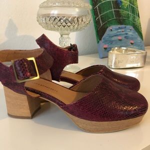 Anthropologie Clogs